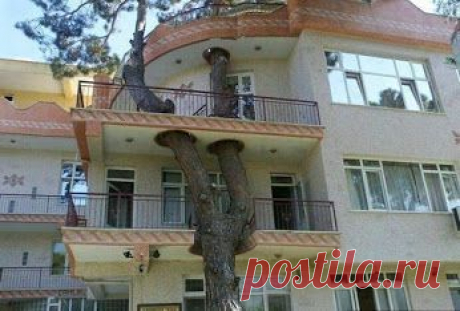 Красивые , картины, искусство – Сообщество – Google+