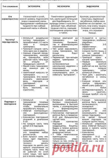Советы для эктоморфов,мезоморфов и эндоморфов. / Спорт Сильных!