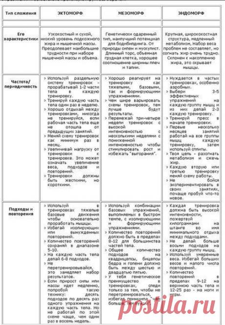 Советы для эктоморфов,мезоморфов и эндоморфов. / Спорт Сильных!