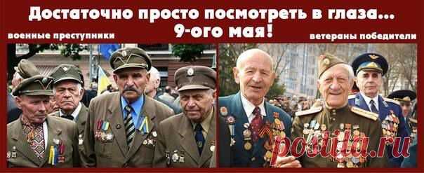 (6) Facebook