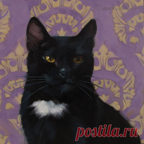 Black Cat Art | Fine Art America