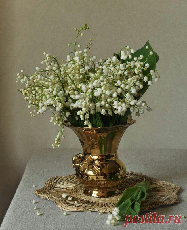 Весеннее настроение