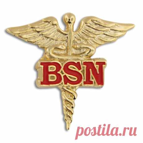 All a Nurse Needs to Know BSN Degree - Essential Information