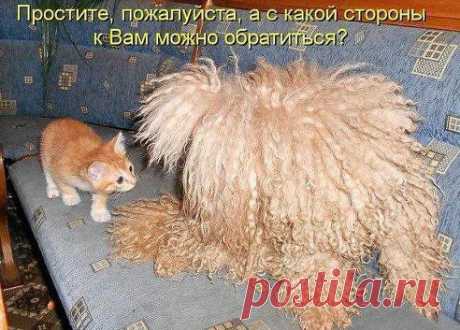Хоть бы чихнул для ориентиру...