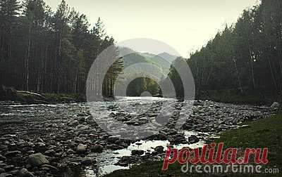 A misty evening in a mountain gorge. A Misty Evening In A Mountain Gorge. - Download From Over 57 Million High Quality Stock Photos, Images, Vectors. Sign up for FREE today. Image: 90359895