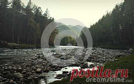 Stock Photos, Royalty-Free Images & Video Footage By Dreamstime Stock Photography