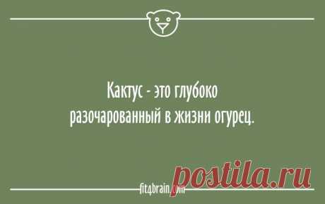 20 открыток о том, как всё в жизни обычно складывается – Фитнес для мозга