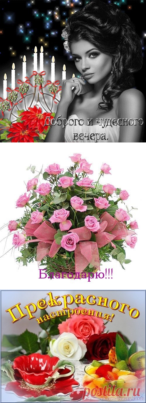 Благодарки и Код