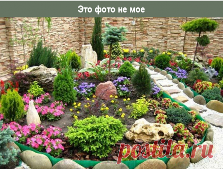 Ландшафтные ошибки: до и после | Сад под Петербургом | Яндекс Дзен