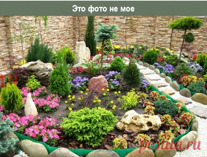 Ландшафтные ошибки: до и после | Сад под Петербургом | Яндекс Дзен