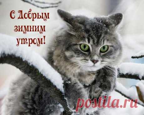 Желаю зимнего доброго утра, а заодно и самого прекрасного настроения, которое будет сопровождать тебя до самого сна! Удачи и счастливых мгновений в чудесном «сегодня»! с добрым утром открытка зимняя