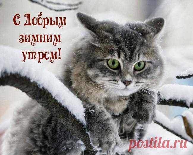 Желаю зимнего доброго утра, а заодно и самого прекрасного настроения, которое будет сопровождать тебя до самого сна! Удачи и счастливых мгновений в чудесном «сегодня»! с добрым утром открытка зимняя