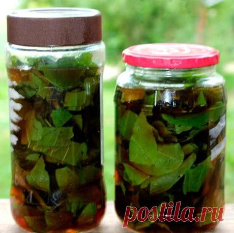 Масло подорожника - отличная замена аптечным лекарствам! Сделайте, это легко и быстро, зато потом благодарить будете!