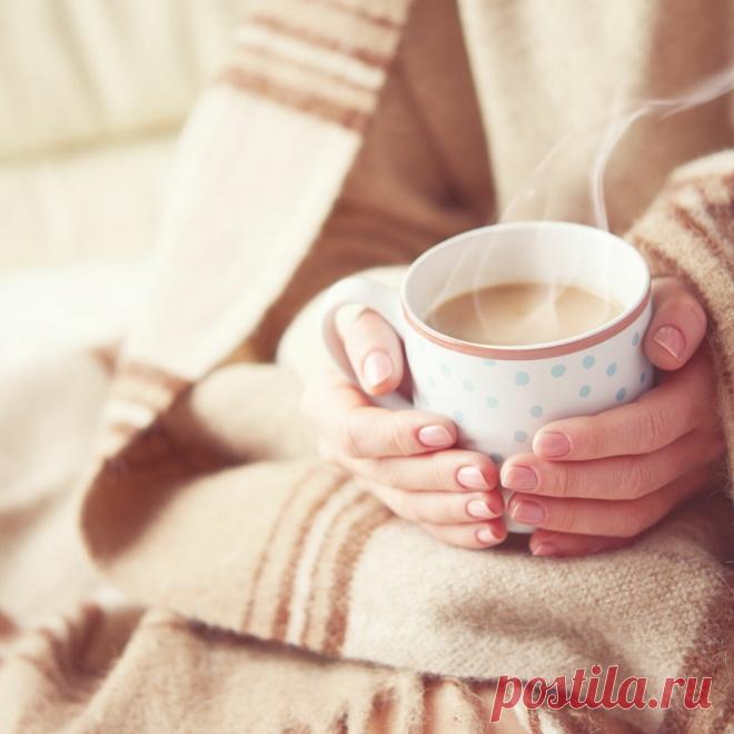 Чем опасен чай с молоком | Подари чай | Яндекс Дзен