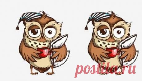 Тест Хорна-Остберга на определение хронотипа | Психология