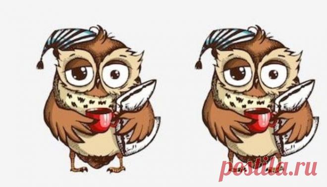 Тест Хорна-Остберга на определение хронотипа | Психология