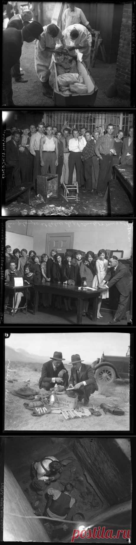 Криминальный Лос-Анджелес в 20-30-е годы / Surfingbird - все, что интересно тебе