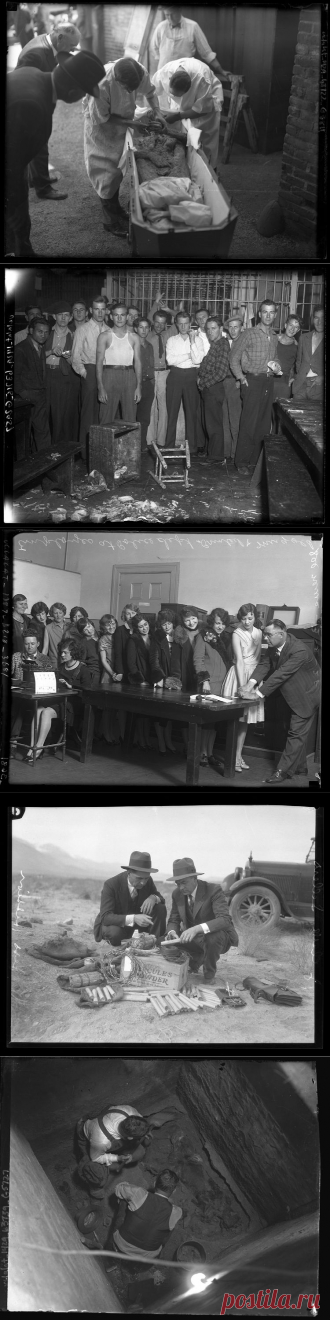 Криминальный Лос-Анджелес в 20-30-е годы / Surfingbird - все, что интересно тебе