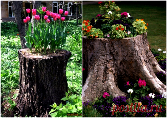 16 практичных хитростей, которые полезно знать каждому дачнику