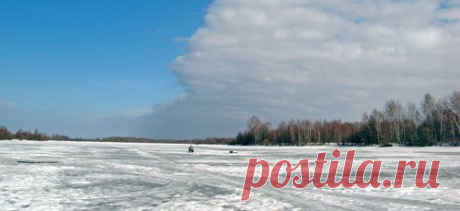 Багорик и крокодил