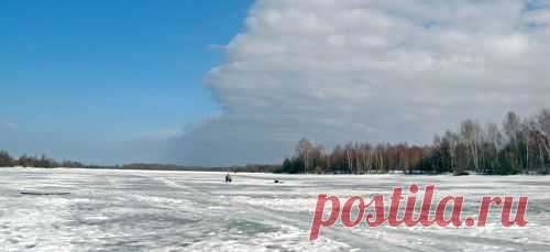 Багорик и крокодил