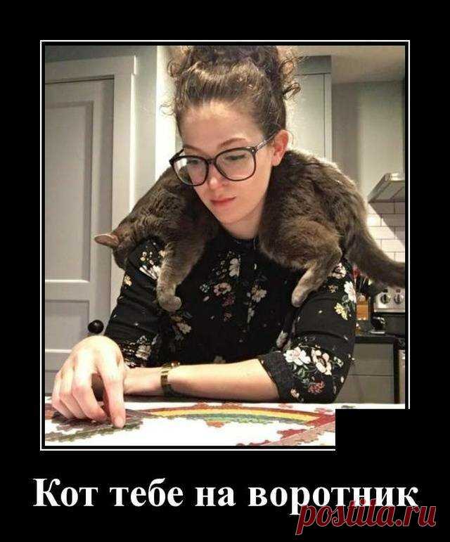 Кошачьи демотиваторы Пестрая подборка демотиваторов, посвященная лучшему другу сильной и независимой.