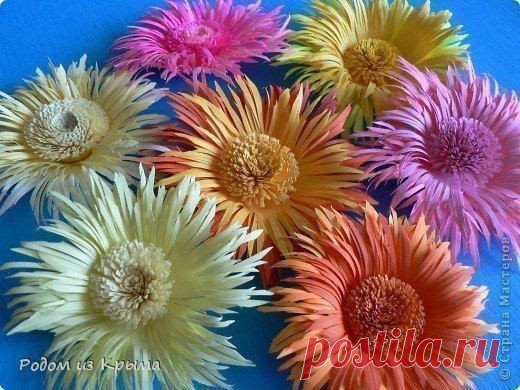 Хризантемы из бумаги