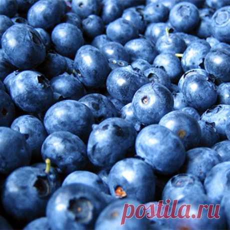 Продукты, способные улучшить память / Все для женщины