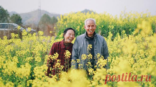 ДОЛГОЖИТЕЛИ--Мясников объяснил россиянам, что влияет на продолжительность жизни Доктор Мясников: главный фактор долгожительства – это ГЕНЕТИКА.