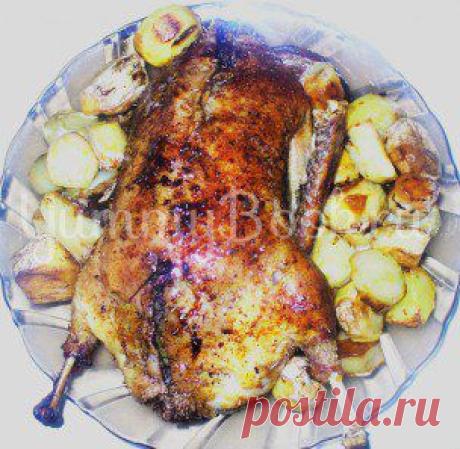Здоровое питание - 221 простой и вкусный рецепт - страница 3