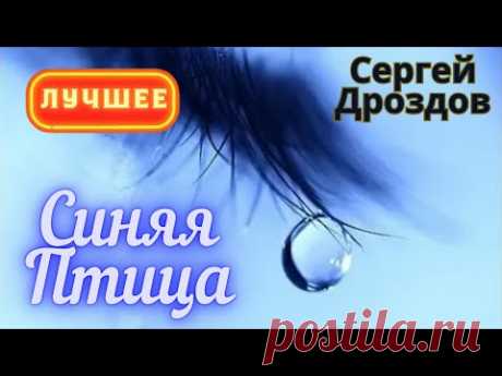 Синяя Птица - Сергей Дроздов. Лучшее.
