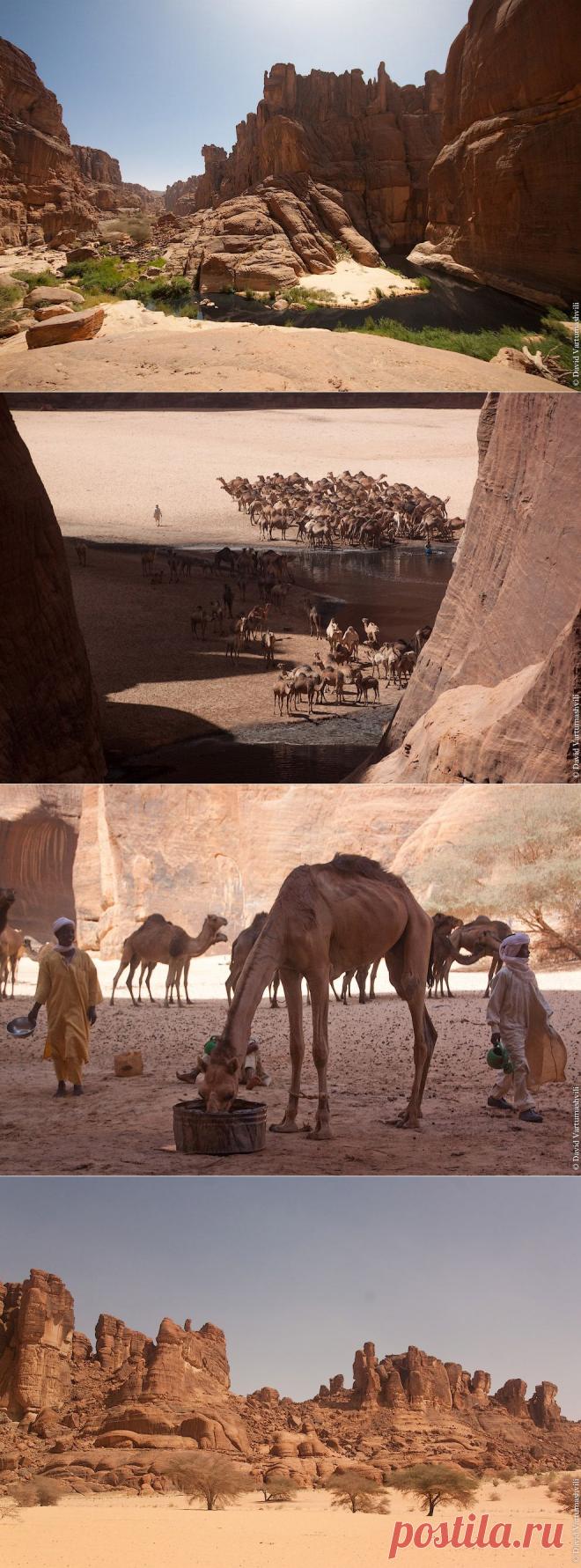 >> Гельта д’Аршей в пустыне Сахара