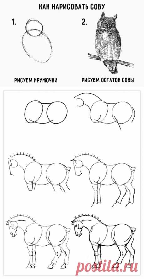 Красивые рисунки карандашом, которые легко нарисовать с детьми