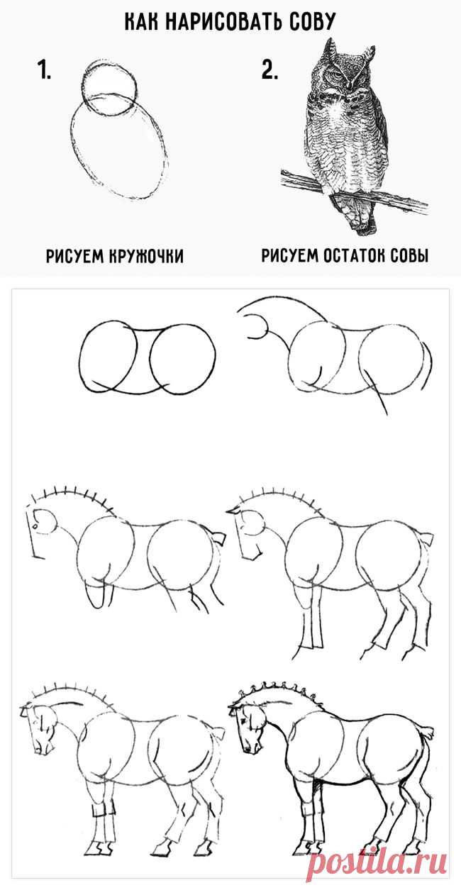 Красивые рисунки карандашом, которые легко нарисовать с детьми
