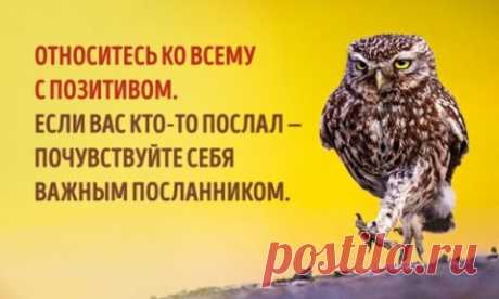 7 способов изменить свое отношение к жизни