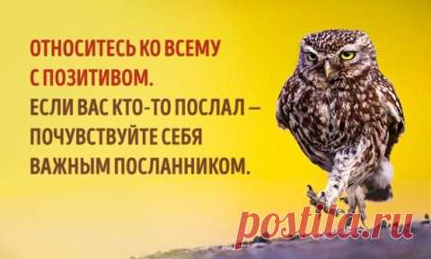 7 способов изменить свое отношение к жизни