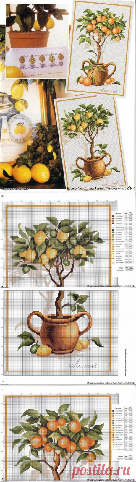 Цитрусовые деревья