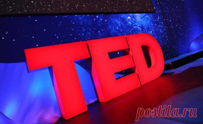 5 коротких лекций TED о мини-лесе, идеях, толерантности и Вселенной