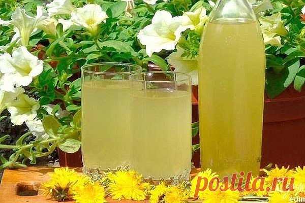 Одуванчиковое ВИНО