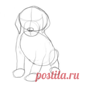 Как нарисовать собаку