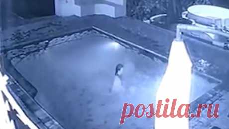 Видео: Парень оставил возлюбленную на растерзание крокодилу                                  https://ren.tv/novosti/2016-11-06/video-paren-ostavil-vozlyublennuyu-na-rasterzanie-krokodilu?utm_medium=referral&utm_source=lentainform&utm_campaign=ren.tv&utm_term=129674s11341&utm_content=4826269