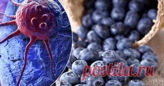 10 продуктов для профилактики онкологических заболеваний Несмотря на изобретение новых препаратов и совершенствование методик лечения, число заболевающих раком не становится меньше. Многие причины появления опухолей медицине до сих пор неизвестны, однако онкологи уверены, что первейшая среди них — неправильное питание.