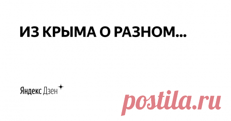 ИЗ КРЫМА О РАЗНОМ... | Яндекс Дзен Канал создан коренным крымчанином,  заслуженным журналистом Крыма Владимиром Трошиным.  В профессии более 40 лет. Работал на телевидении, в газетах… Главная цель канала – пропаганда Крыма как неповторимого российского региона с уникальной фауной и флорой!  Для связи E-mail: vtroshin@list.ru