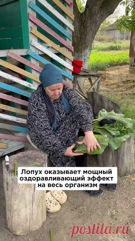 Про лопух