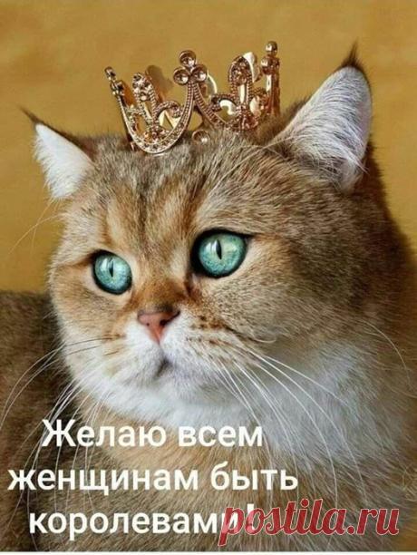 (20+) Facebook