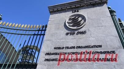 Власти: Украина отзовёт иски в ВТО при аннулировании ограничений на экспорт. Украинский замминистра экономики Тарас Качка заявил, что Украина отзовёт иски во Всемирную торговую организацию (ВТО) против трёх европейских стран только при условии, если получит гарантии отсутствия ограничений на ввоз своего зерна в будущем. Читать далее