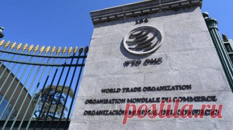 Власти: Украина отзовёт иски в ВТО при аннулировании ограничений на экспорт. Украинский замминистра экономики Тарас Качка заявил, что Украина отзовёт иски во Всемирную торговую организацию (ВТО) против трёх европейских стран только при условии, если получит гарантии отсутствия ограничений на ввоз своего зерна в будущем. Читать далее