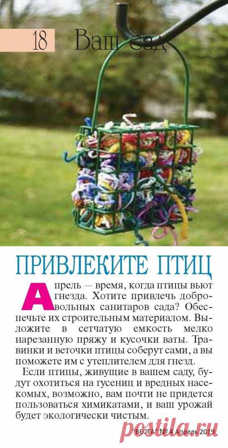 Привлеките птиц в сад