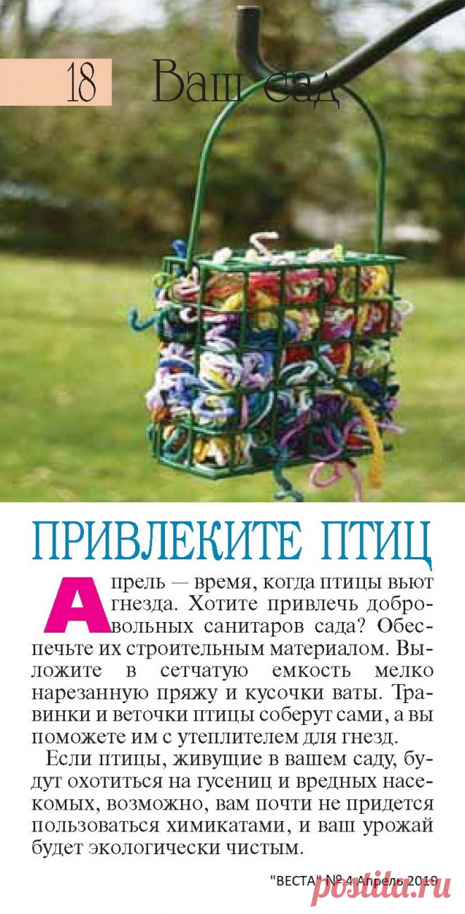 Привлеките птиц в сад