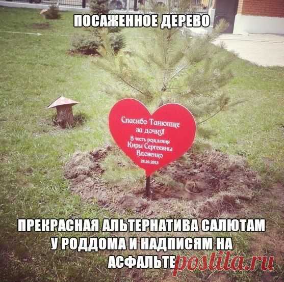 🌳 111 плодовых деревьев для каждой новорождённой девочки. 🌳 

В индийской деревне Пиплантри (Piplantri), расположенной в западном штате Раджастхан, в честь рождения КАЖДОЙ девочки члены общины собираются вместе, чтобы посадить 111 плодовых деревьев на её имя. Каждый год здесь рождается около 60 девочек, так что вокруг деревни за последние шесть лет уже вырос целый плодовый лес – сегодня он насчитывает более 252 000 деревьев.